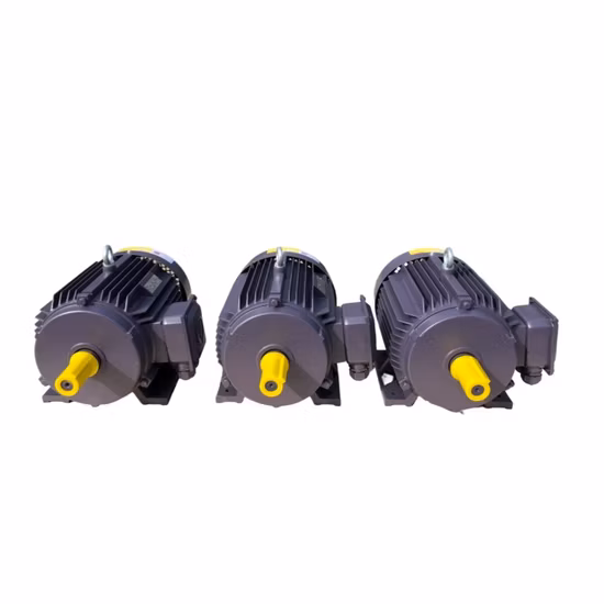 IEC/Ye Three Phase Industry High Efficiency Electrical AC Asynchronous Induction Electric Motor