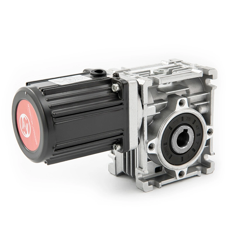 Right Angle 6W~40W 60W~370W Variable Speed Induction AC Gear Motor with Nmrv Worm Gearbox Speed Reducer