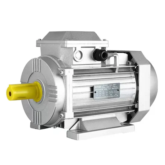 Motor CA monofásico série Yl monofásico dois